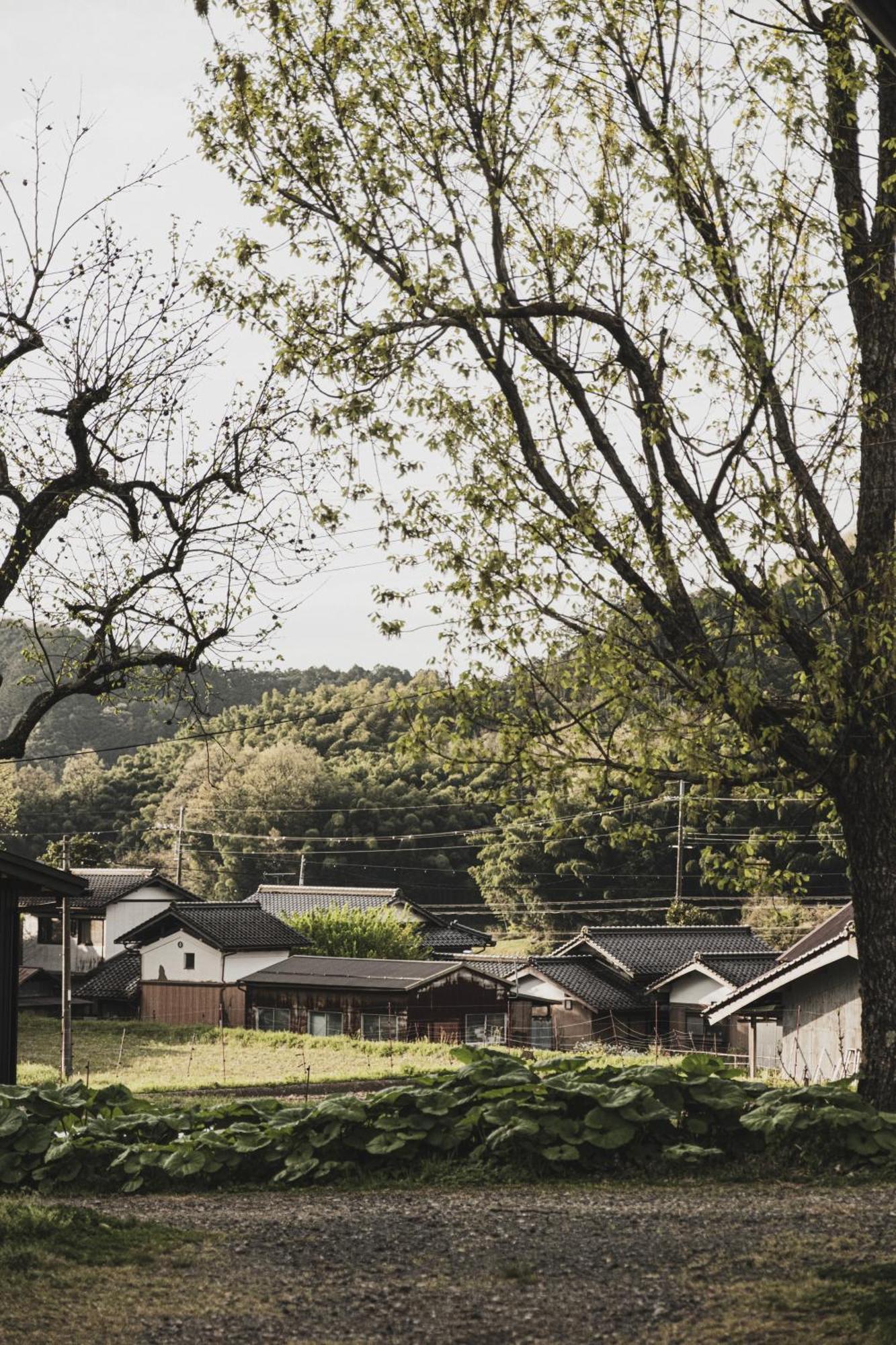 一汁一菜の宿　ちゃぶダイニング Ichiju Issai No Yado Chabu Dining Unforgettable Farmstay Experience In Deep Kyoto Ayabe Exterior foto